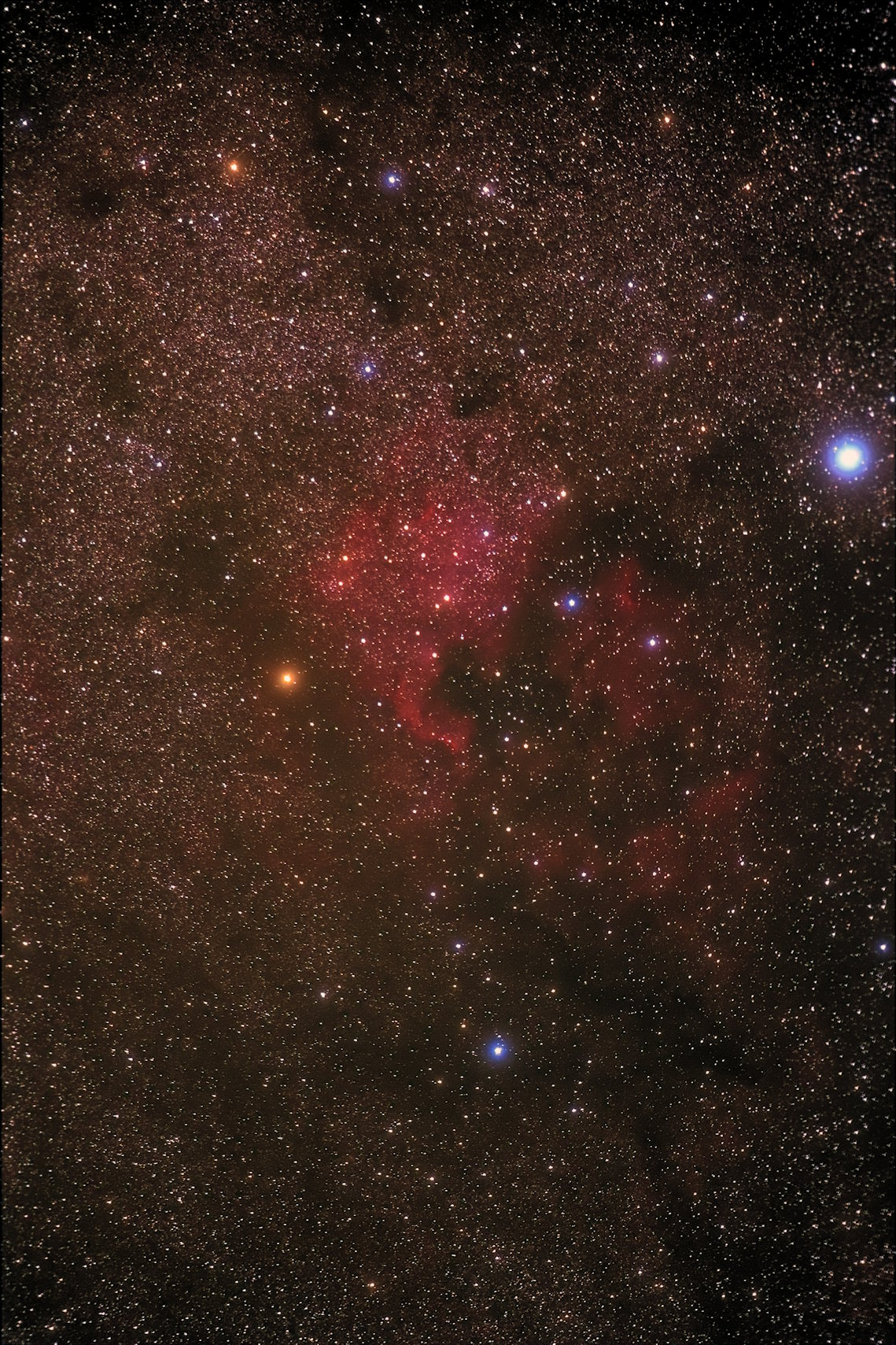 2013_05_08_NGC7000_iris_16im_300s_2_40pc.jpg