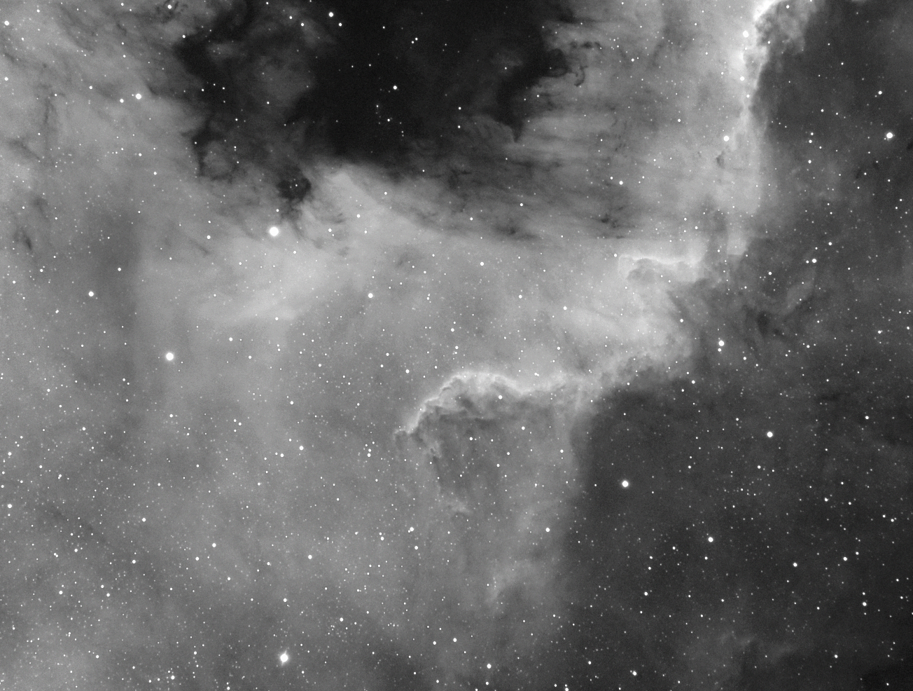 215619ngc7000DDG.png