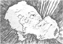 220px-Sketch_of_comet_67P_Tchourioumov-Guerassimenko_Churyumov-Gerasimenko.jpg