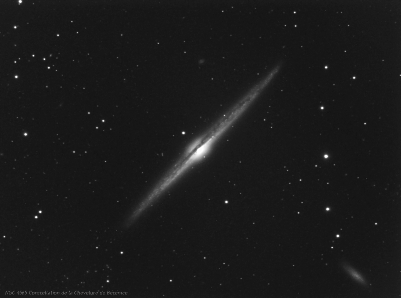 244093NGC4565ConstellationdelaCheveluredeBrniceNB.png