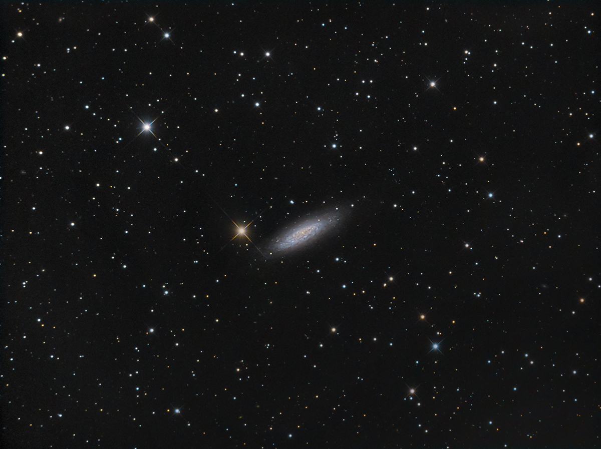 268756NGC6503V51200.jpg