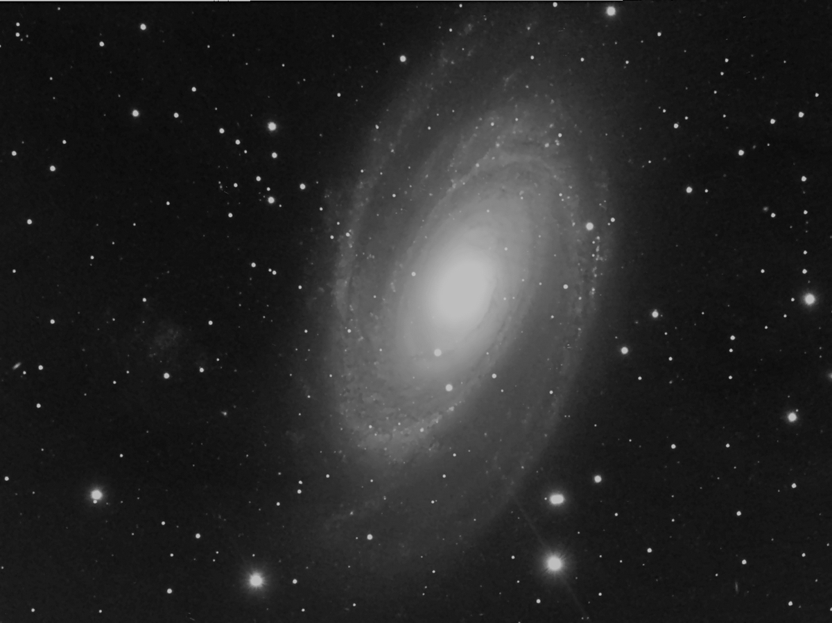 270257M81.jpg