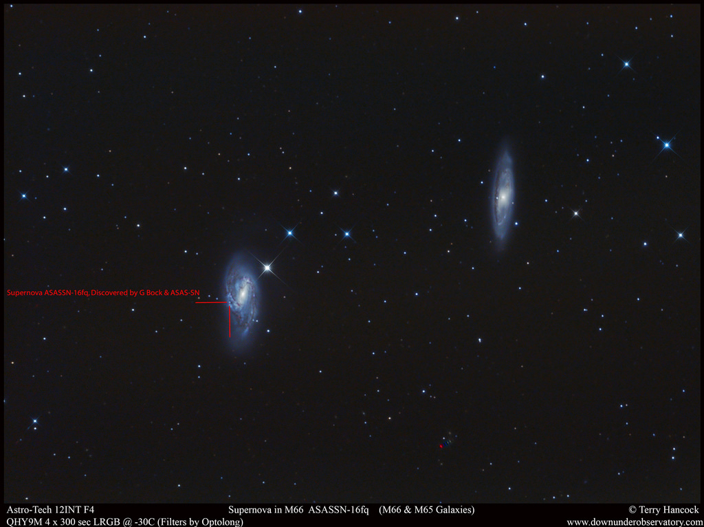 Supernova in M66  (M66 & M65 Galaxies)