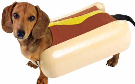 hot-dog-dog-costume.jpg?1389792775