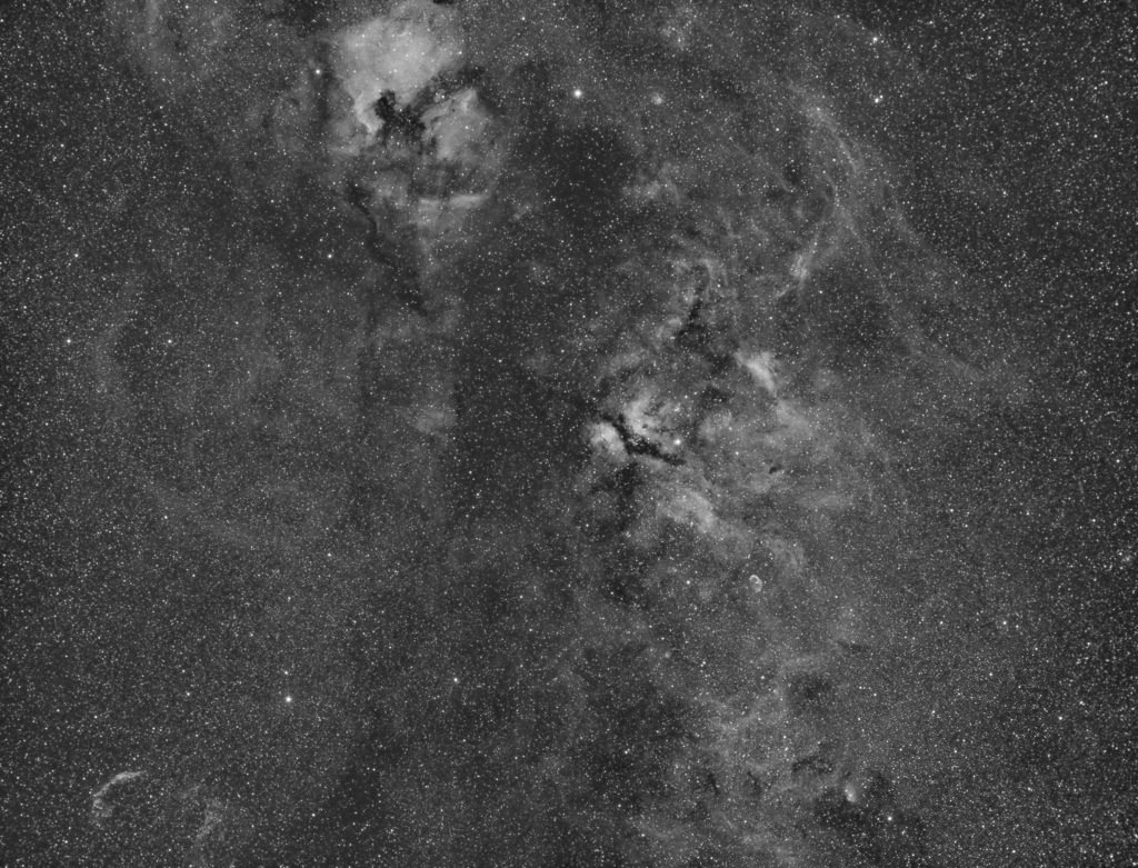 Cygnus region in Ha