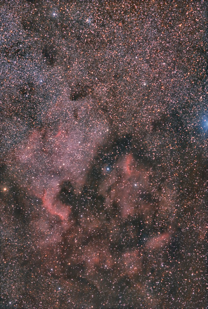 291552NGC700025.jpg