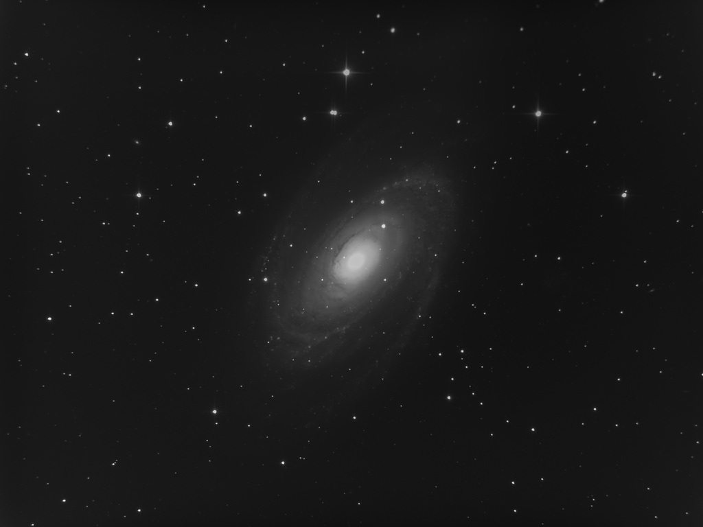 M81