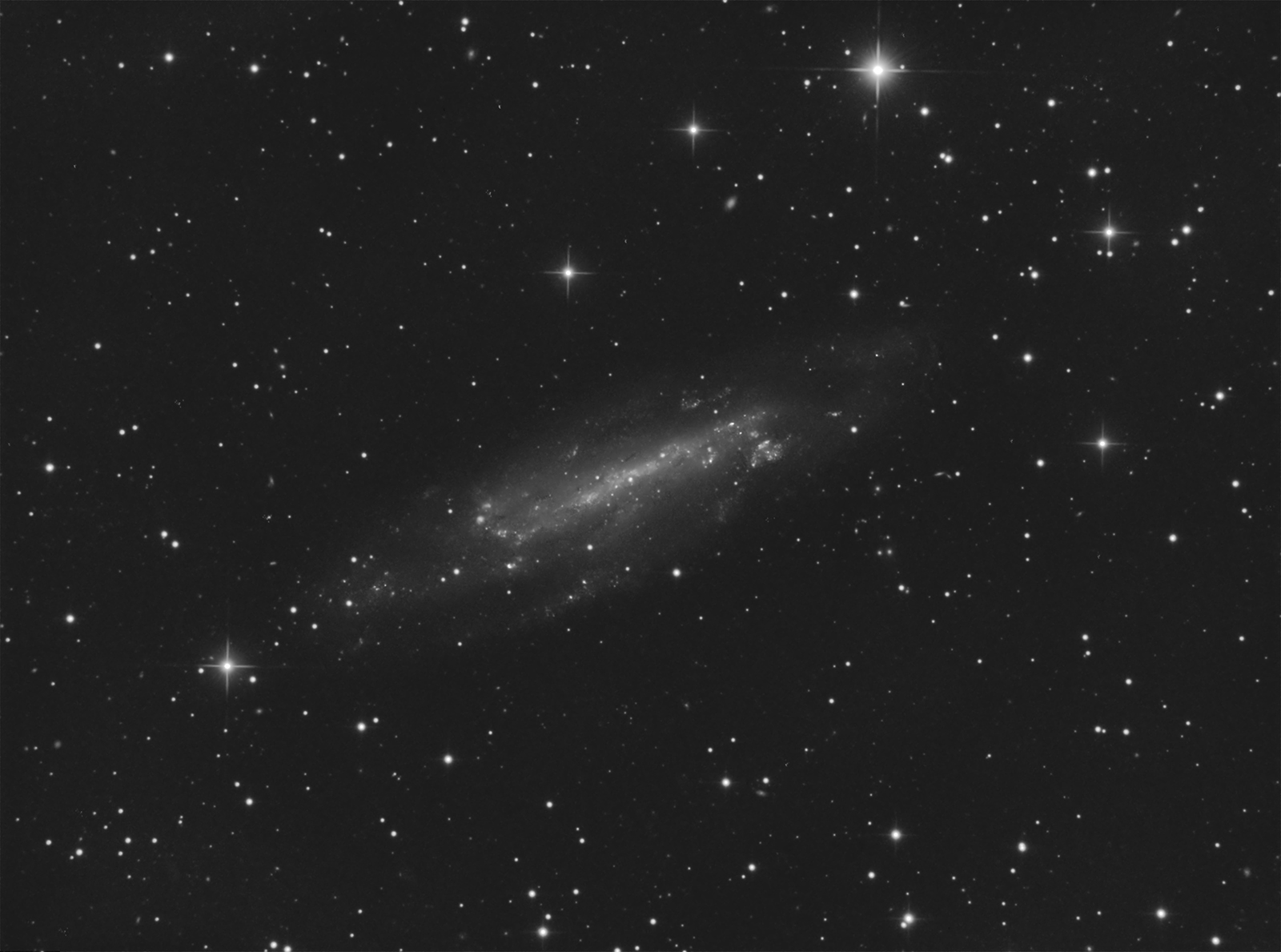 336508NGC4236V1.jpg