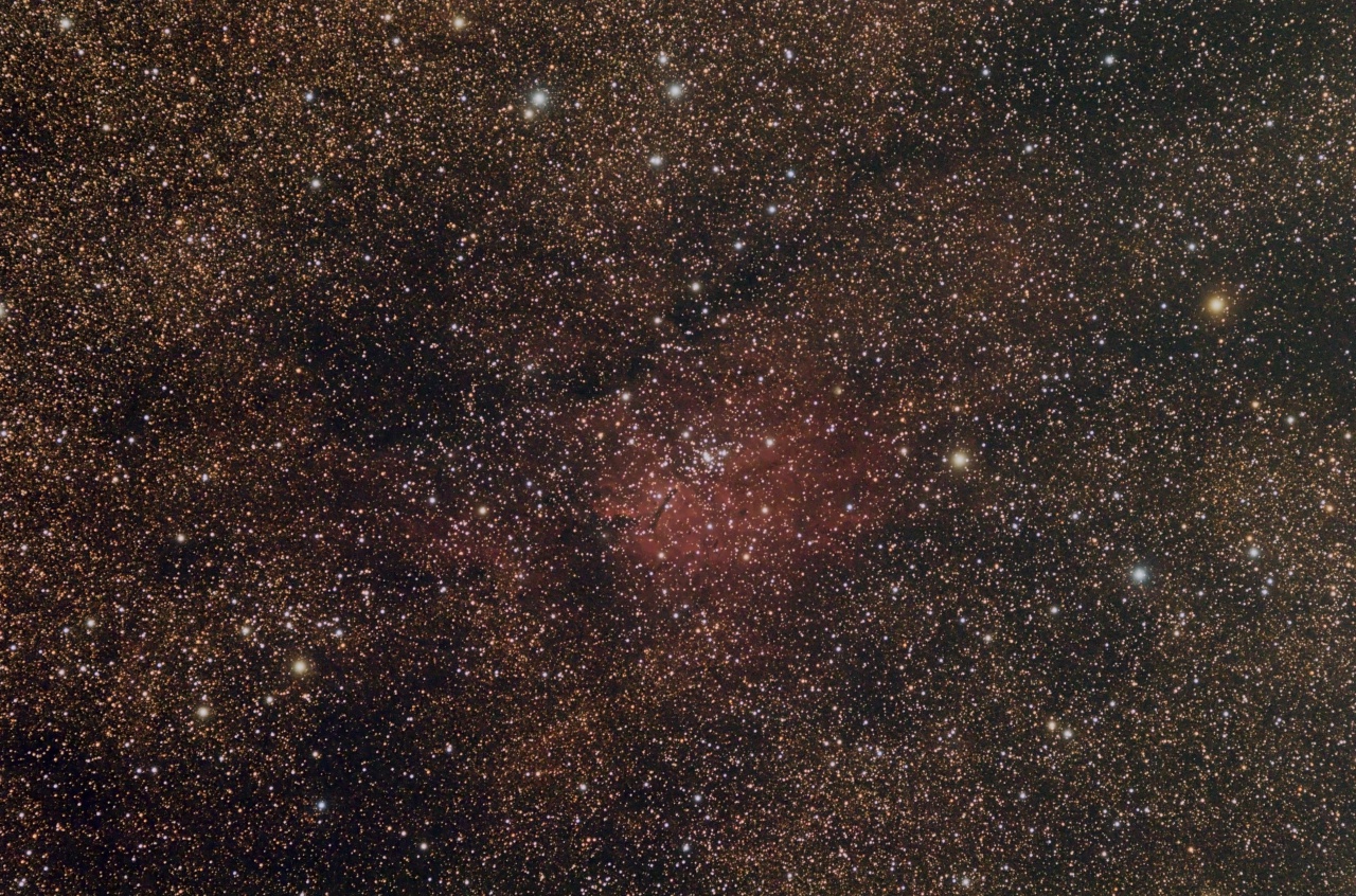 354603ngc682080edred1000d26x300seccuq.jpg