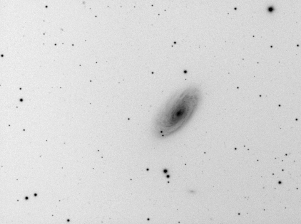 370731M88LUMINANCE2inverse.png