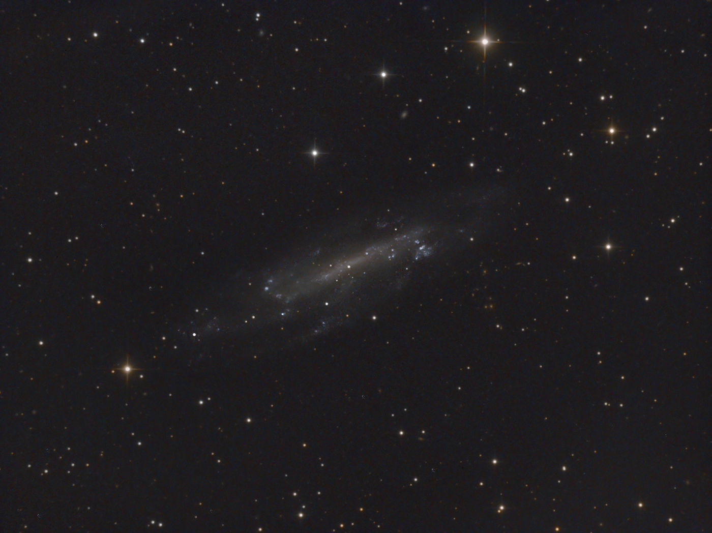 398064NGC42361400.jpg