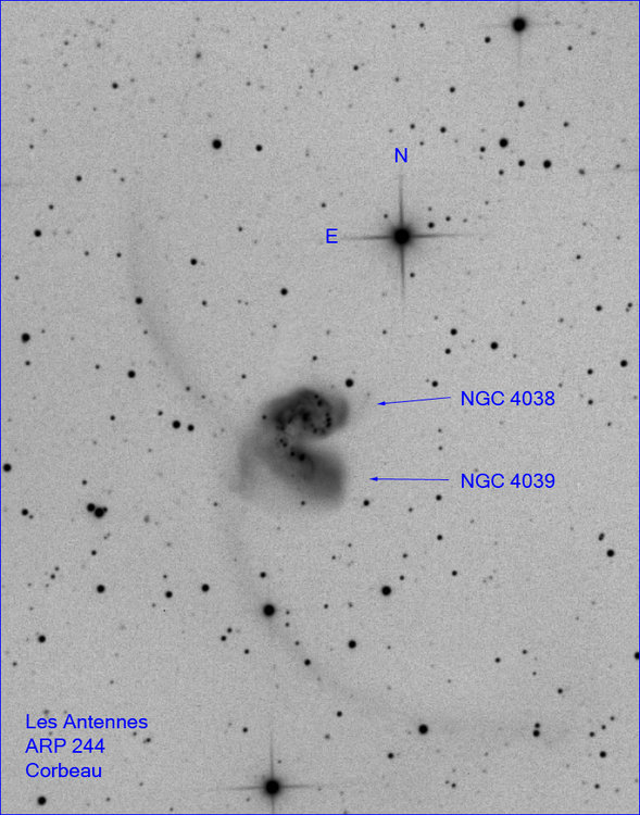 les_antennes_neg.jpg?psid=1