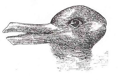 400px-Duck-Rabbit_illusion.jpg