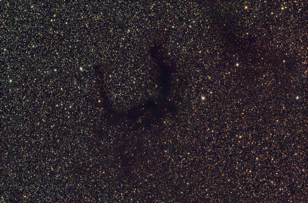 462172BARNARD_172_copie.jpg