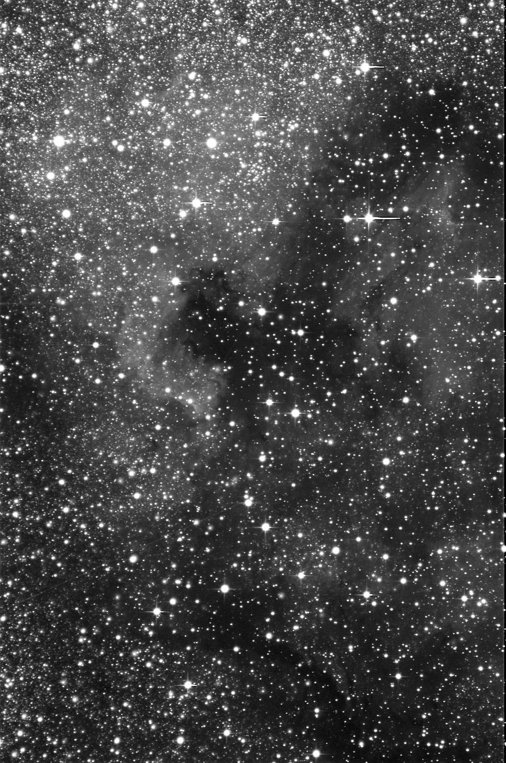 481288NGC7000Plican2.jpg