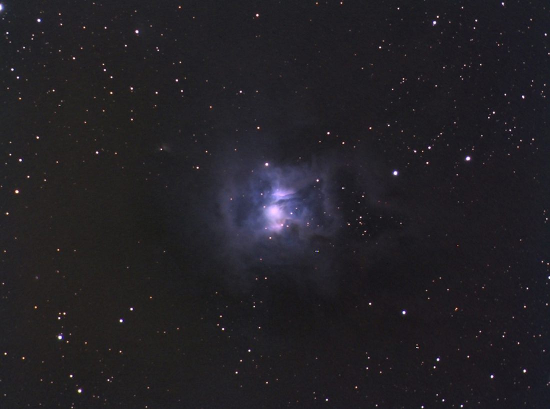 489664irisversion2011.jpg