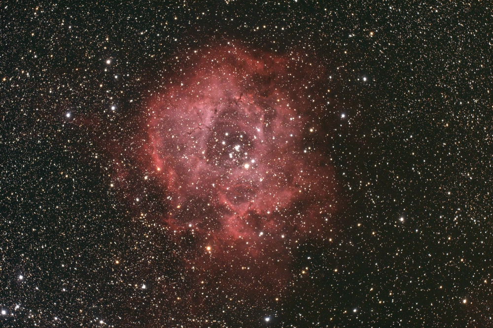 504124ngc2237110113forumv1.jpg