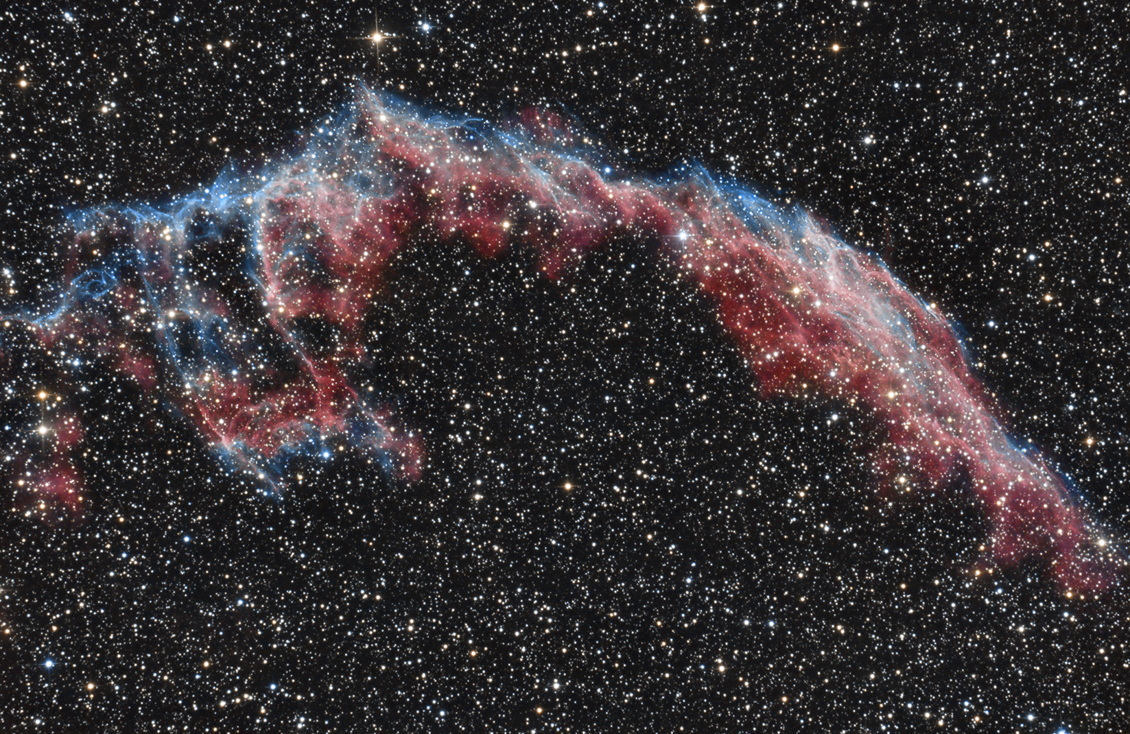 514475ngc699232.jpg