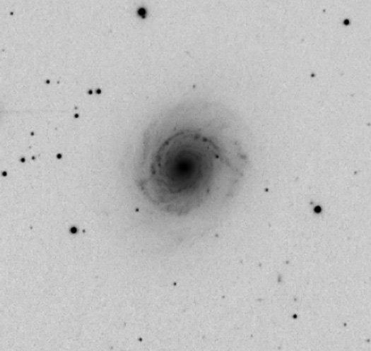 ngc3147_neg.jpg?psid=1