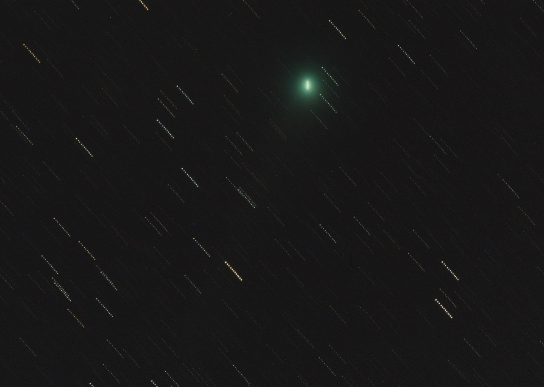 545281C2LOVEJOY07012015IRIS12CS3CROP.png