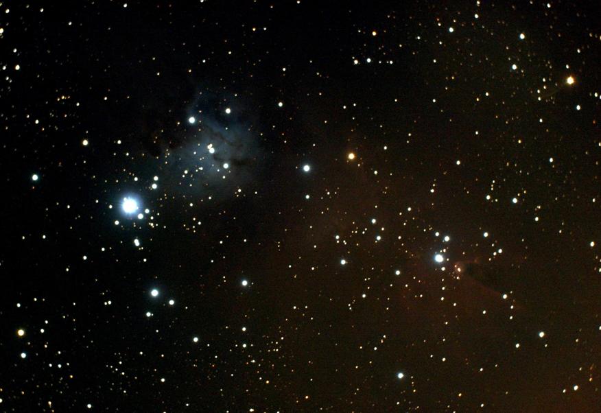 568758ngc2264060311v51.jpg