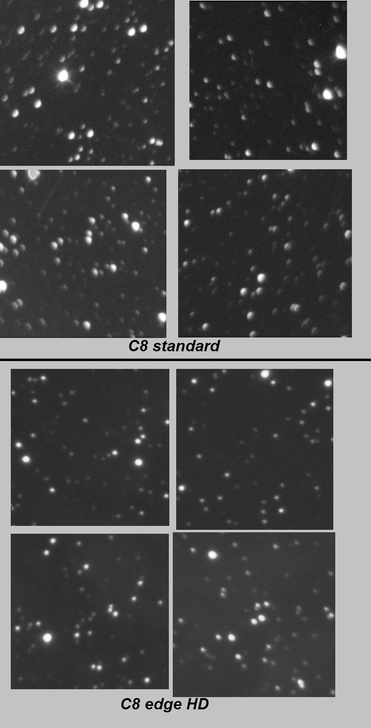 595051ComparatifC8standardC8edgeHDCoins.jpg