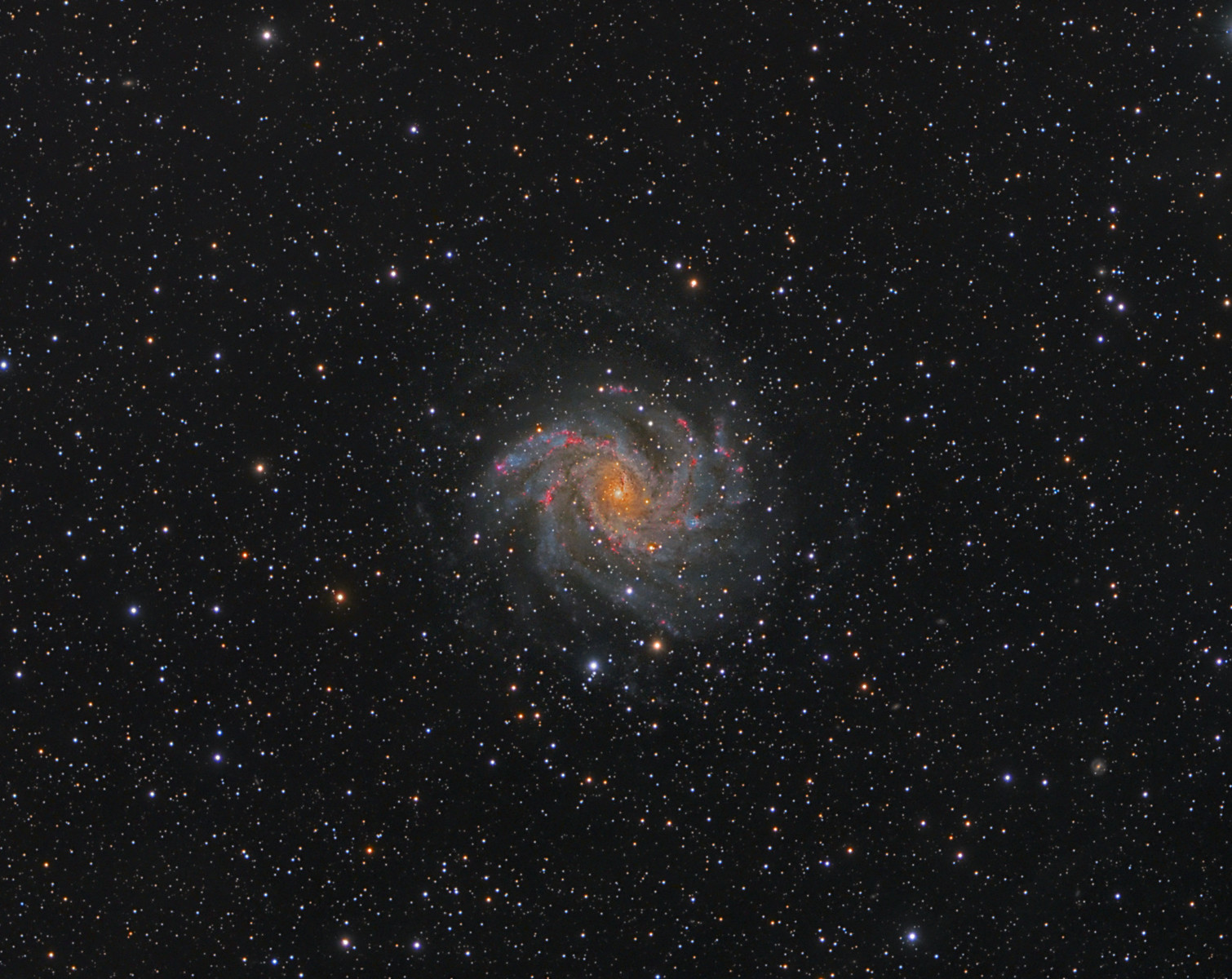 NGC6946%20SN%20-X3.jpg