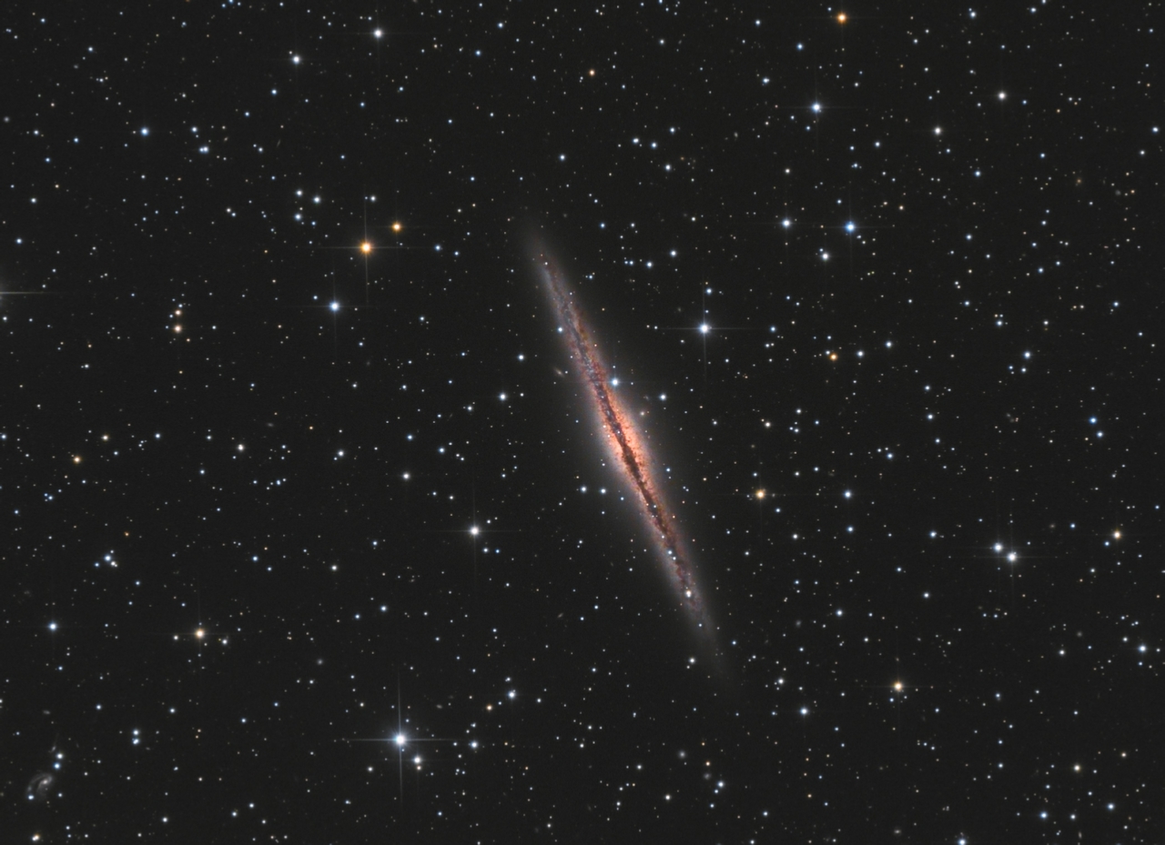 NGC891%20L2h00-12x600s%20R4V4B5-300s%20v2%20crop.jpg