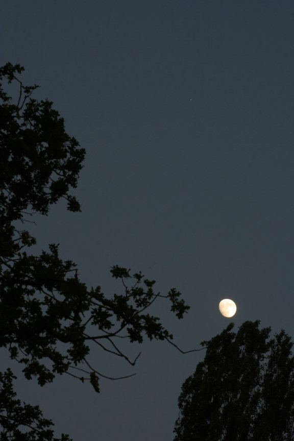 08juin2006_lune%20Jupiter.jpg