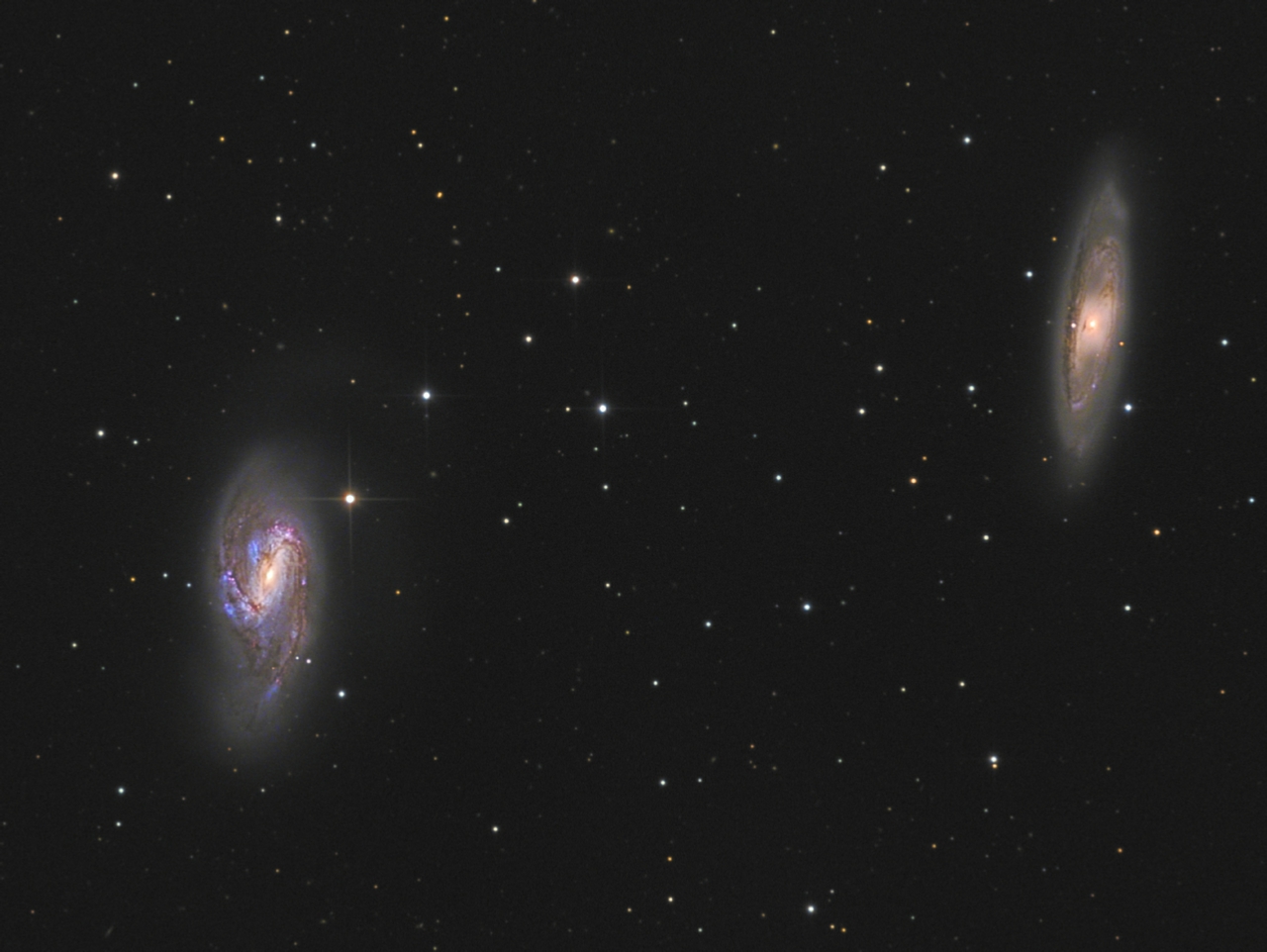 M65-M66%20L%202h00%2024x300s%20RVB%208x120s%20crop.jpg