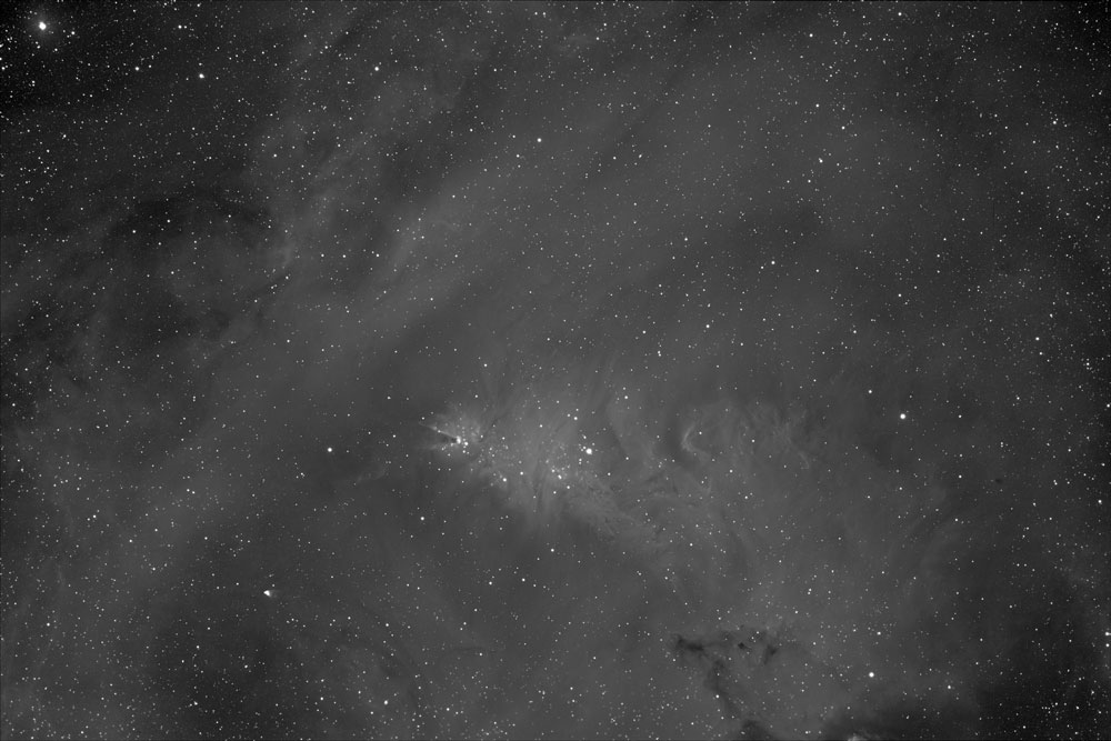 NGC2264-La-n%e9buleuse-du-Con.jpg