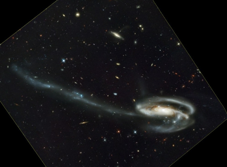 ARP188%20Hubble.jpg