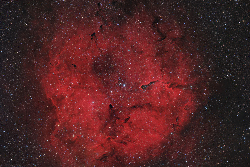 IC1396%2010.6%20Hrs-L.jpg