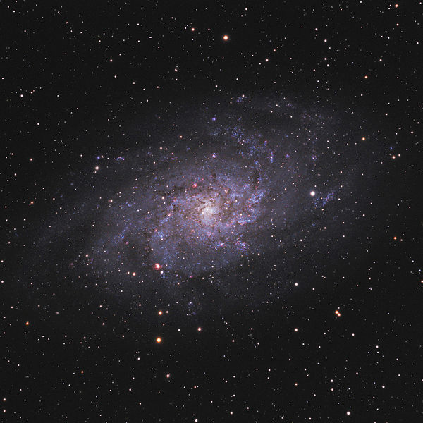 600px-M33HunterWilson09.jpg