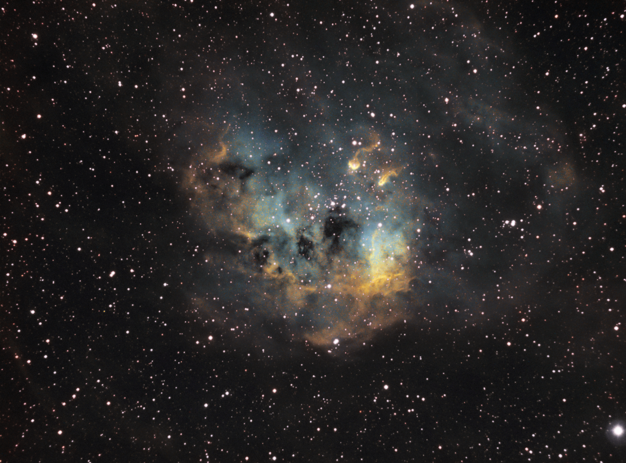 602517IC410SHOCS5.png