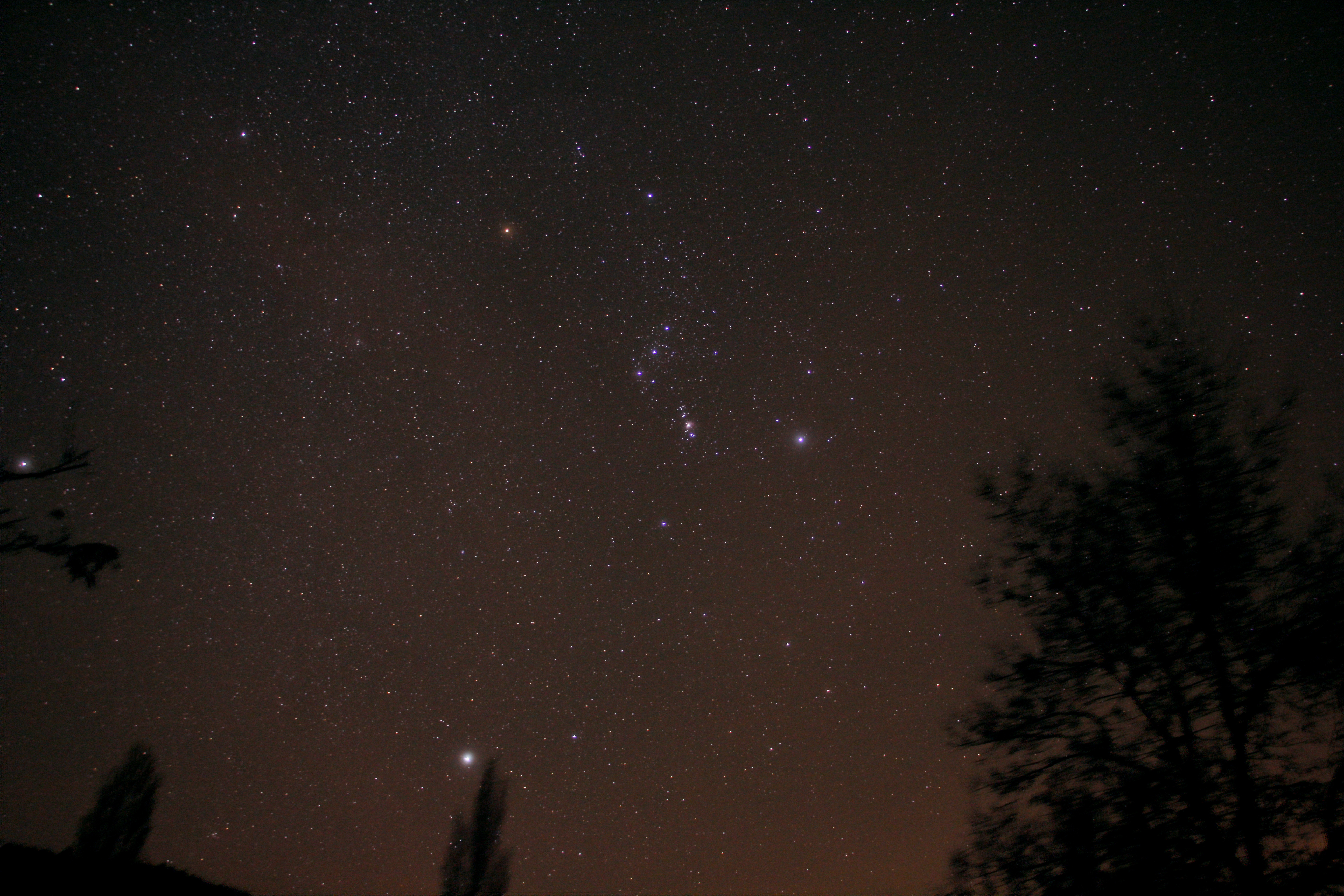 648206Orion25101710x10s1600iso.jpg