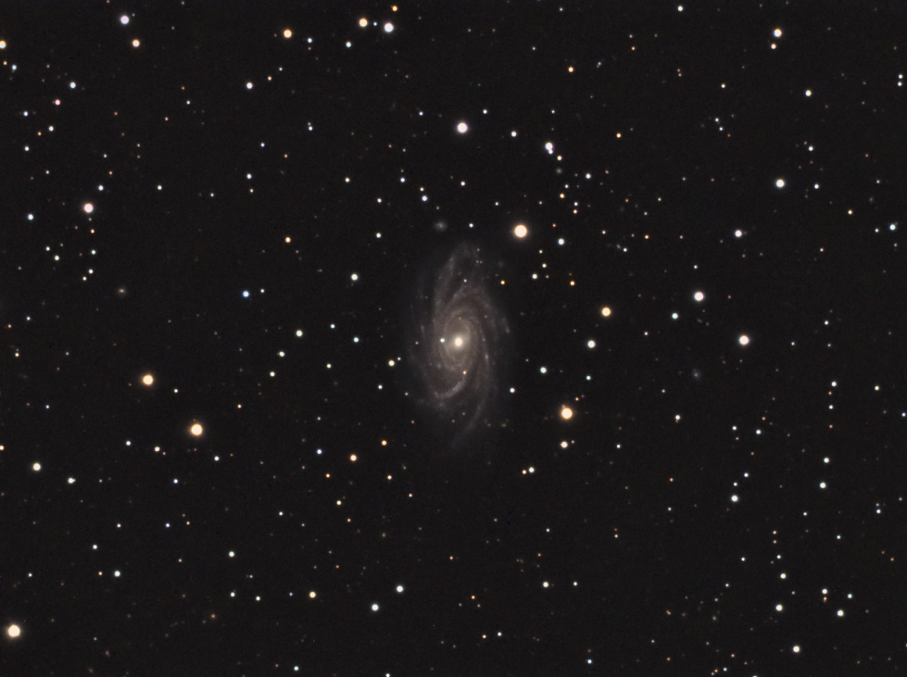 667003NGC2336.png