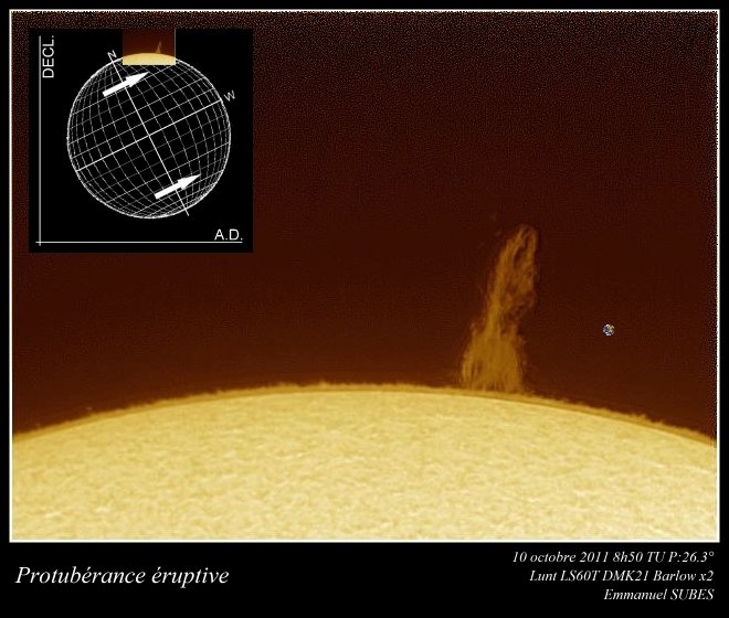 Sun10oct%20protu%20eruptive.jpg