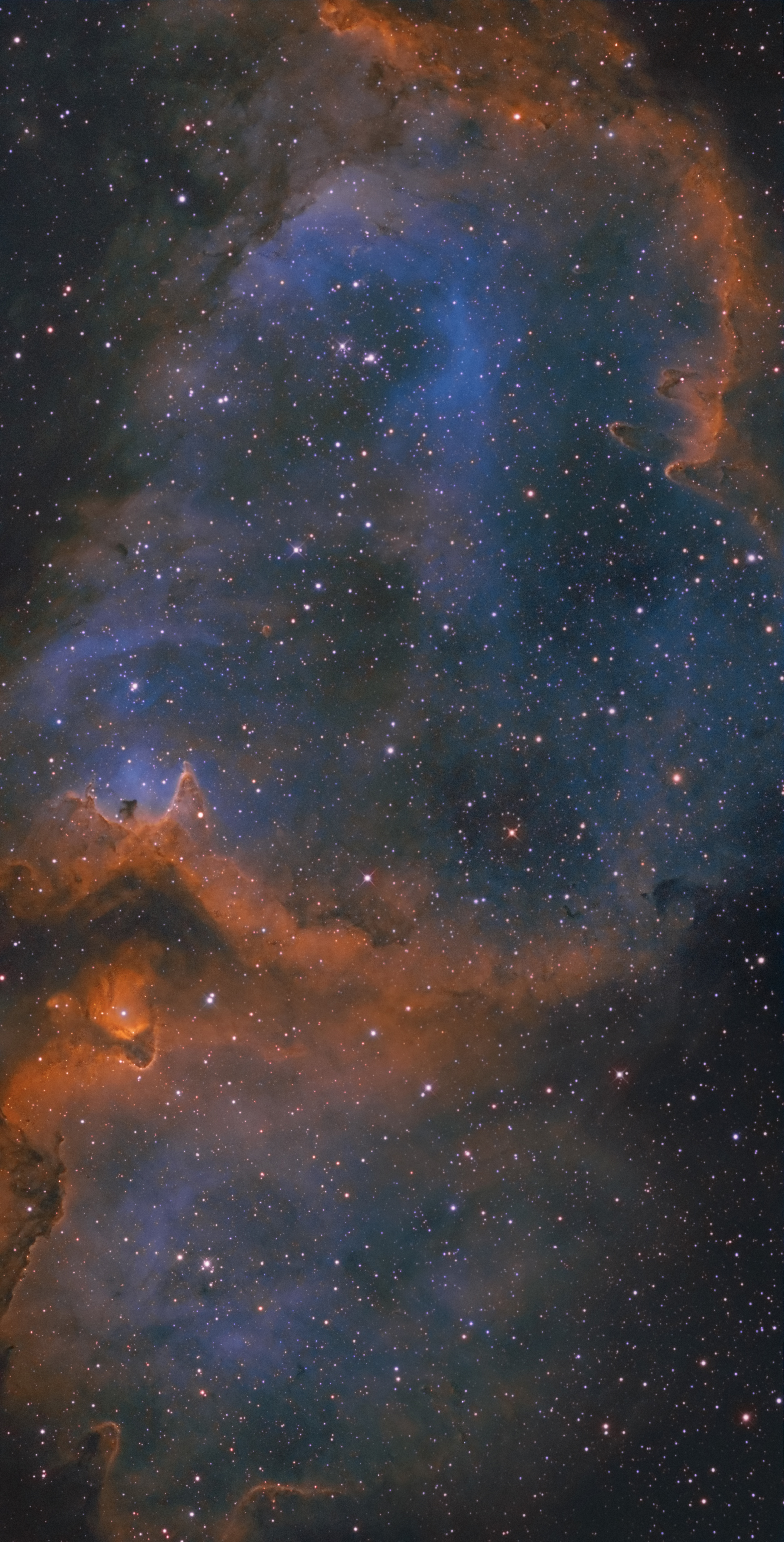 719185IC1848V.jpg