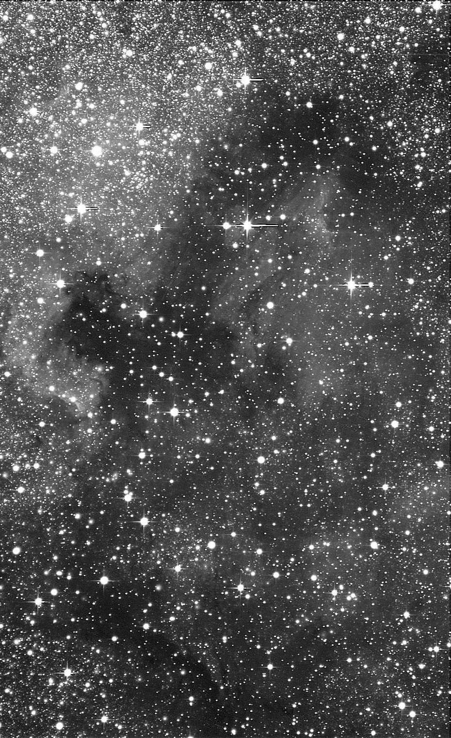 754019NGC7000Plican1.jpg