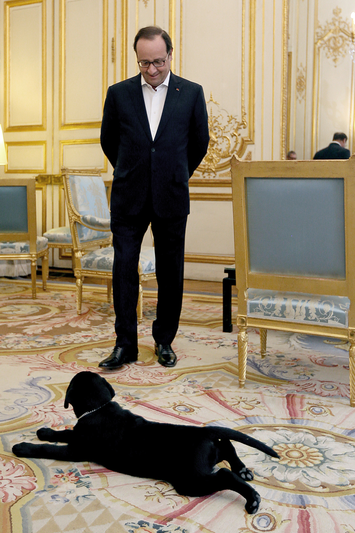 7776018030_francois-hollande-et-son-chien-philae.jpg