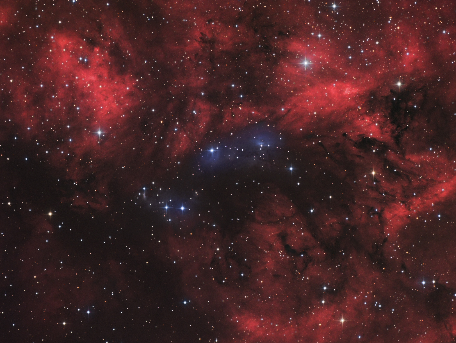 793521NGC6914web1600pix.jpg