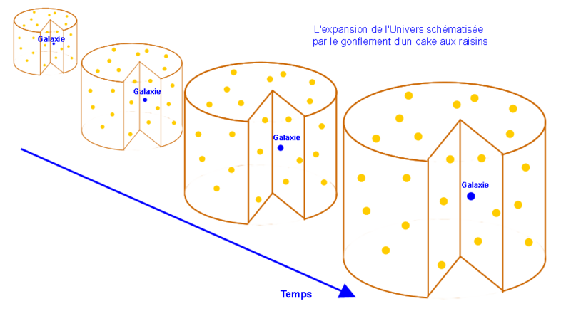 800px-Expansioncake.png