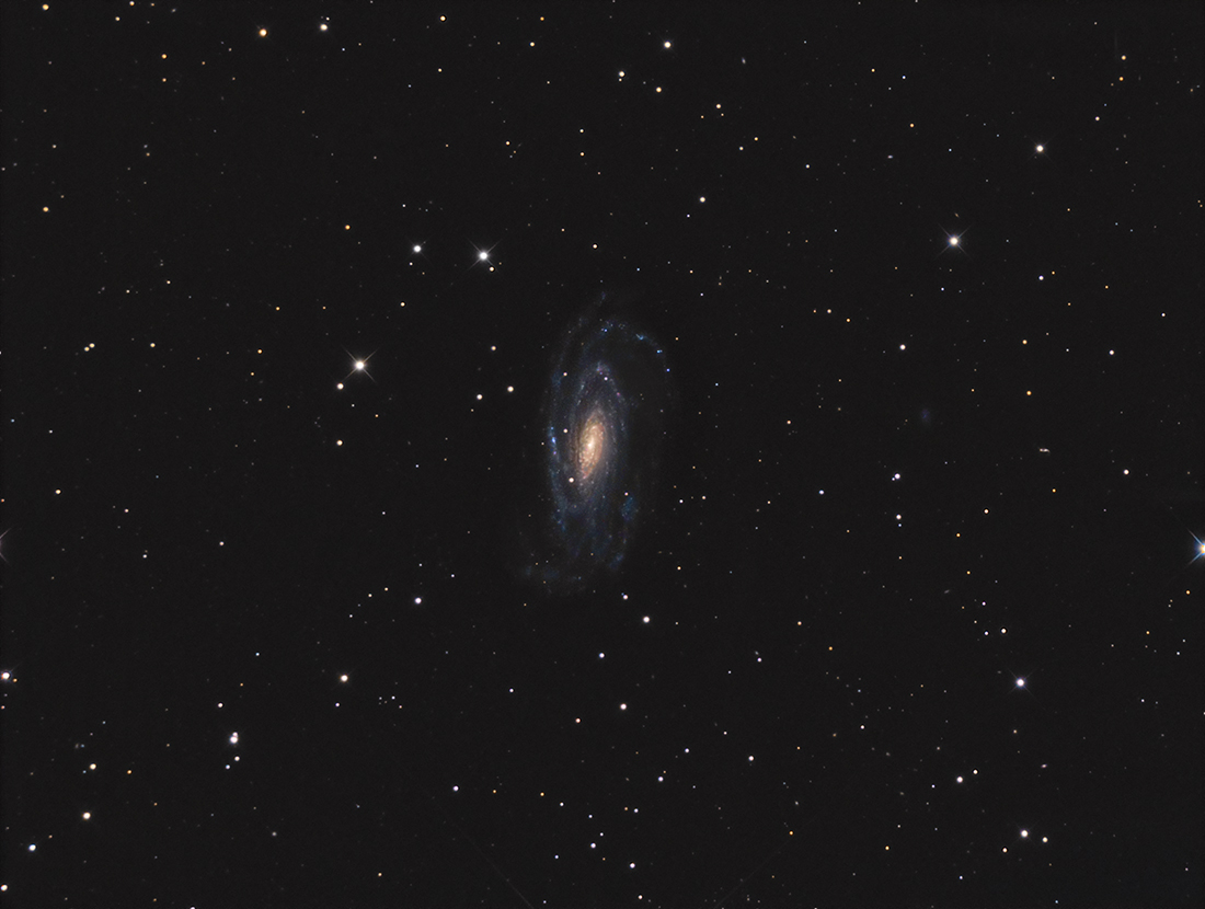 819456NGC50331100.jpg