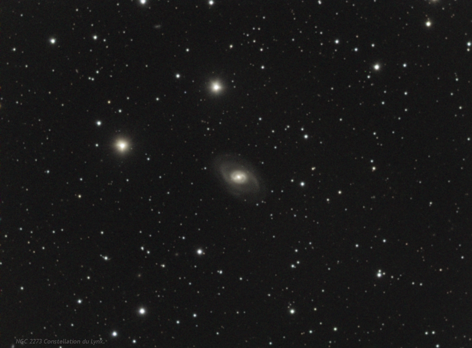 852411NGC2273ConstellationduLynx2.png