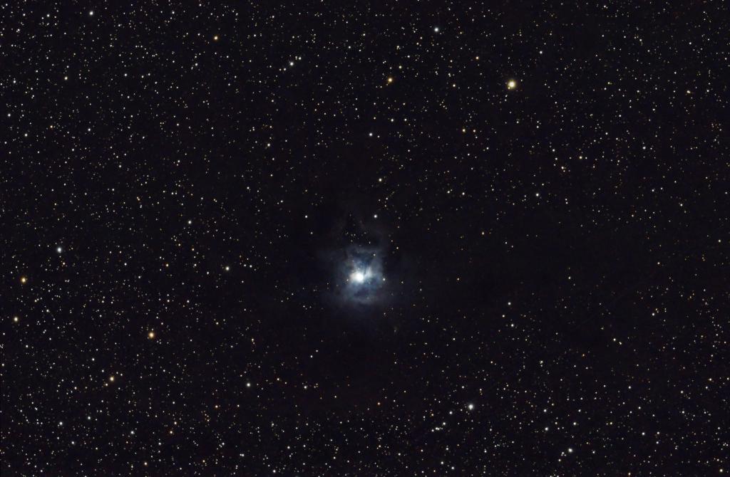 855617ngc7023NEB_IRIS_SIG_CLIP_DDP_REHCOL_copiepix_copieplus.jpg