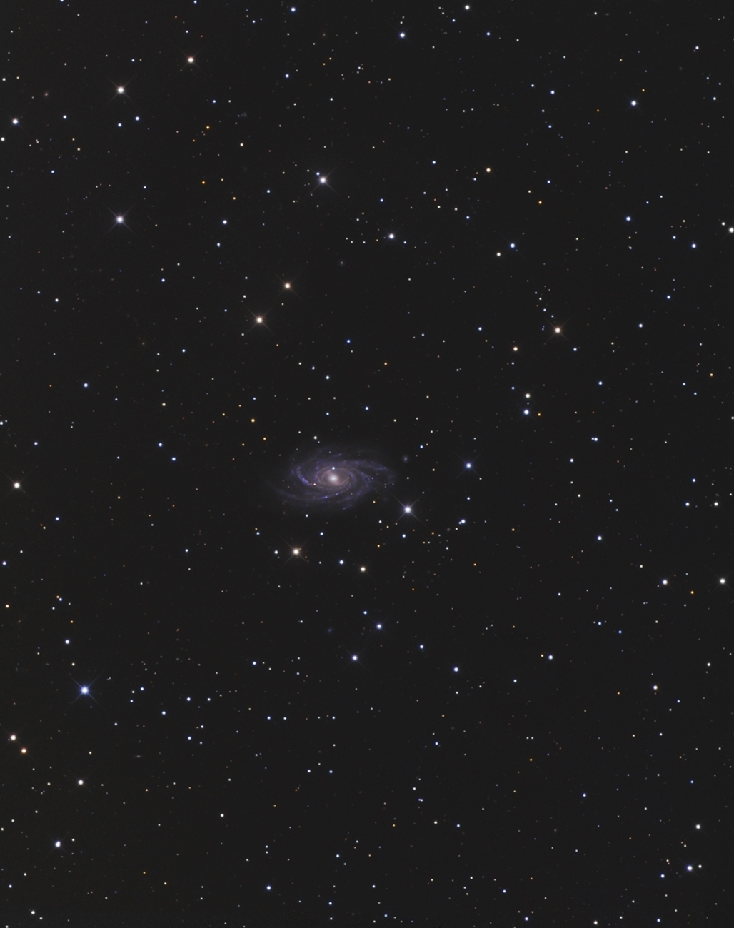 860099NGC2336web1300pix.jpg