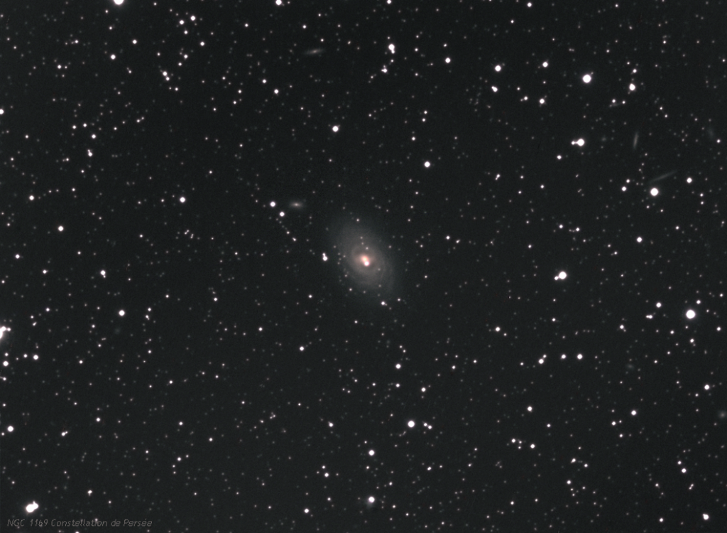 878573NGC1169ConstellationdePerse.png