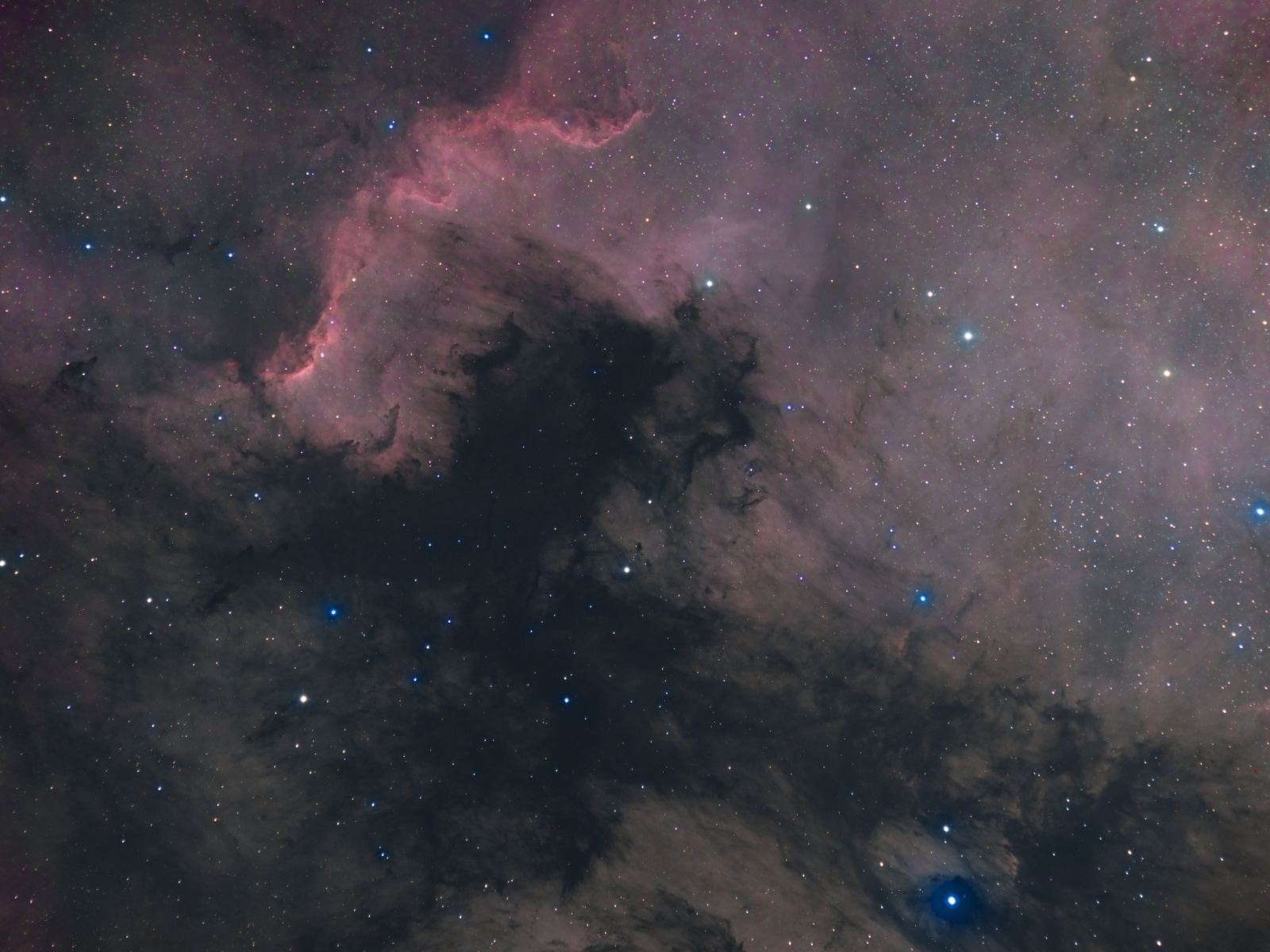 905285NGC7000FINAL1.jpg