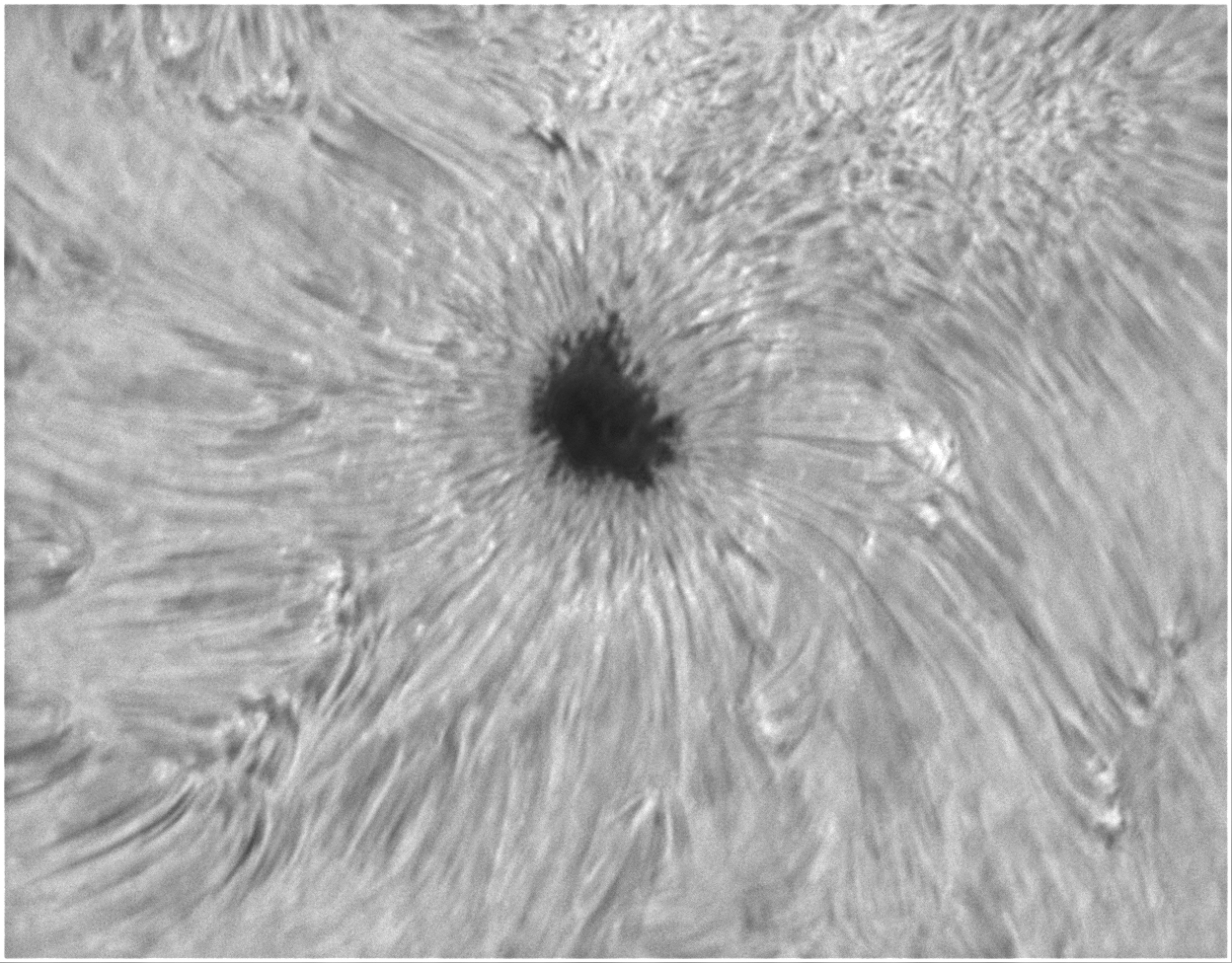 AR2005_Barlow.jpg